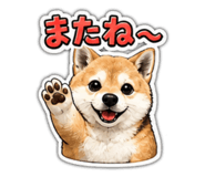 843051091