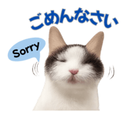 843051100