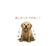 843052163