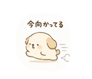 843052182