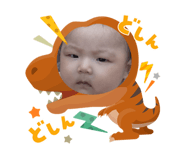 843052334