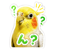 843052555