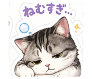 843053154