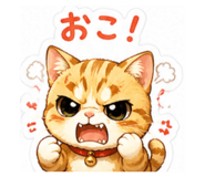 843053157