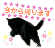 843053232