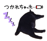 843053240