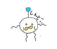 843053434