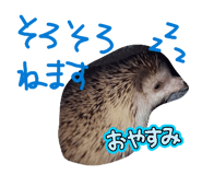 843053516