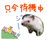 843053536