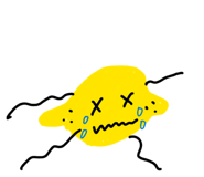 843053634