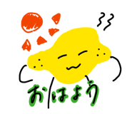 843053635