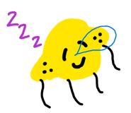 843053636