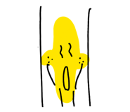 843053638