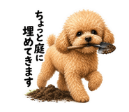 843053669