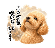 843053670
