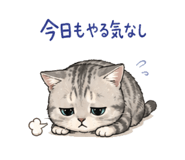 843053776