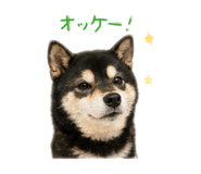 843053796