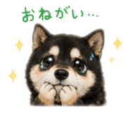 843053815