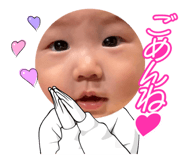 843054317