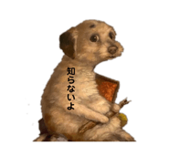 843054355
