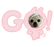 843054396