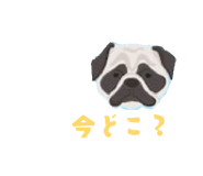 843054935