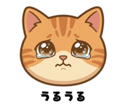 843055132