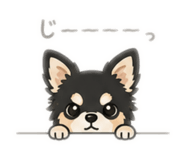 843055341
