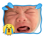 843055356