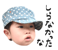843055428