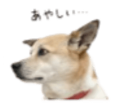 843055477