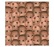 84305646