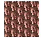84305647