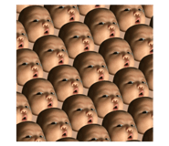 84305648