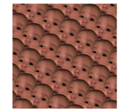 84305649