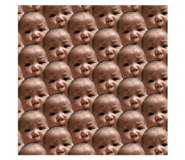 84305650