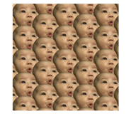 84305651