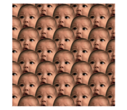 84305652