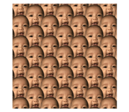 84305653
