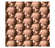84305654