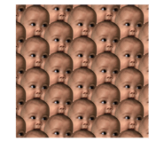 84305656