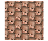84305657