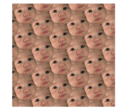 84305658
