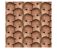 84305660
