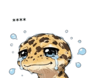 843056677