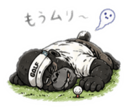 843066536
