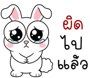 843067116
