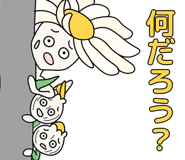 843067339