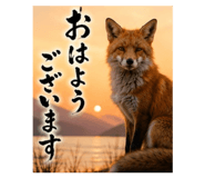 843067505