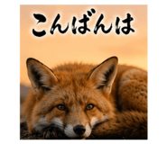 843067507